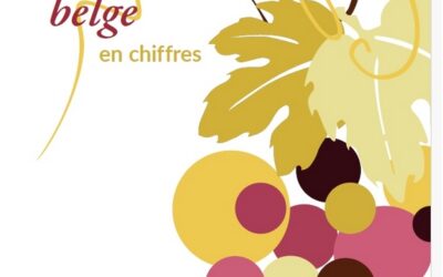 LA VITICULTURE BELGE EN CHIFFRES BY LE SPF ECONOMIE …